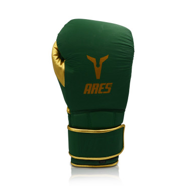Boxing gloves Ares Kratos - green / gold