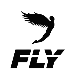 Fly Boxing