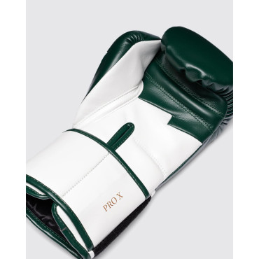 Boxing gloves Fly Superloop Pro X-2 - green / white