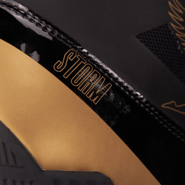 Boxing shoes Fly Storm - gold / black 