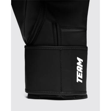 Boxing gloves Fly Team - white logo