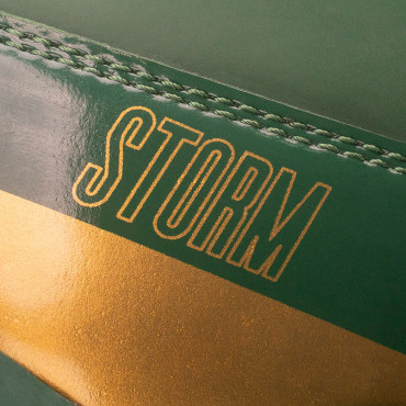 Boxing shoes Fly Storm - green