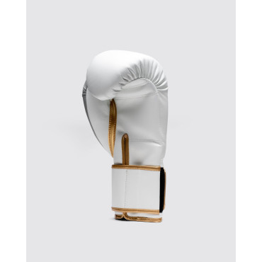 Boxing gloves Fly Superloop Pro X-2 - white / silver
