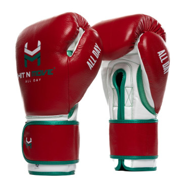 Boxing Gloves HIT N MOVE Pro Balance - red / green