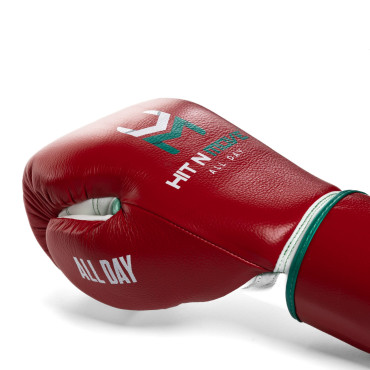 Boxing Gloves HIT N MOVE Pro Balance - red / green