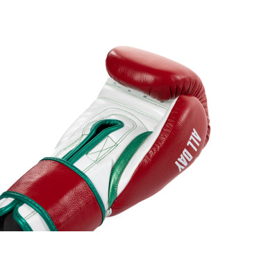 Boxing Gloves HIT N MOVE Pro Balance - red / green