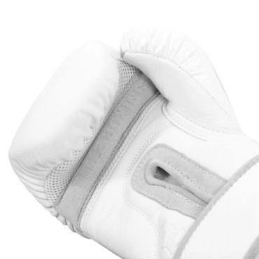 Boxerské rukavice TITLE Boxing 2.0 - bílé