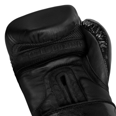 Boxerské rukavice TITLE Boxing 2.0 - černé