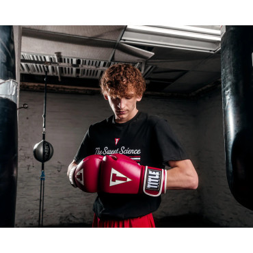 Boxing gloves TITLE Quatro - red