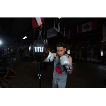 Boxing ball TITLE Boxing Gyro Balanced