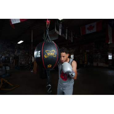Boxing ball TITLE Boxing Gyro Balanced