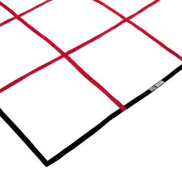 Training ladder for boxing TITLE Agility Cube