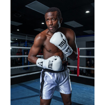 TITLE Boxing Pro Fight Gloves - white