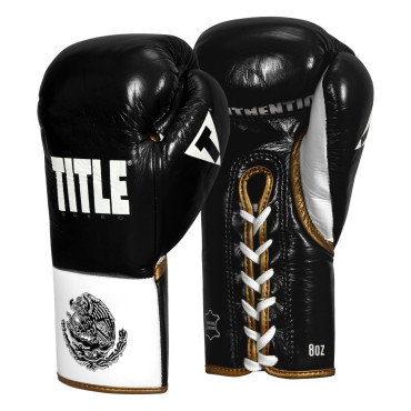 TITLE Boxeo Pro fight gloves - black