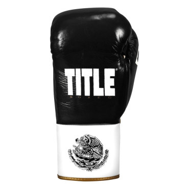 TITLE Boxeo Pro fight gloves - black