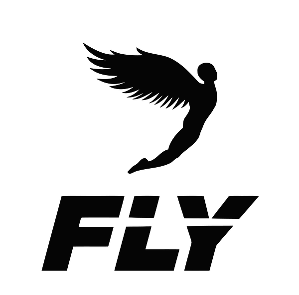 Fly Boxing